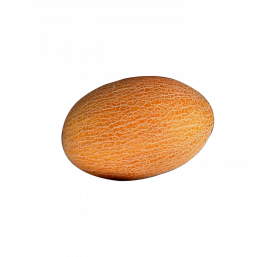 Melon Lobnani
