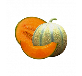 Melon Charentais Cantaloup