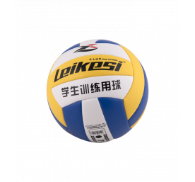 Ballon de volley