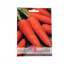 Semences de carotte chantenais